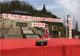 8+4線陣音響系統(tǒng)助陣四川興文(國際)苗族花山節(jié)
