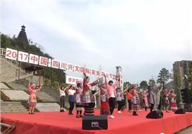 8+4線陣音響系統(tǒng)助陣四川興文(國際)苗族花山節(jié)