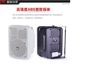 兩分頻專業(yè)會(huì)議室音響 爵士龍M1音箱