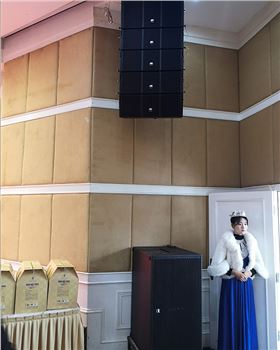爵士龍線陣列音箱助力河南省駐馬店市天龍大酒店【爵士龍音響】
