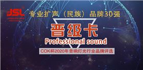 喜訊!JSL爵士龍音響晉級專業擴聲系統(民族)品牌30強