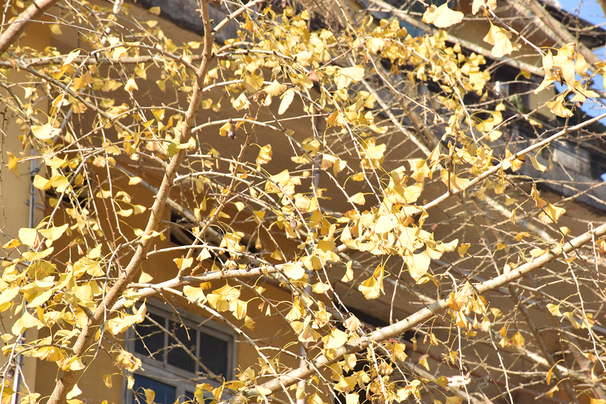 2017年花都區(qū)工商聯(lián)通訊員(韶關(guān)學(xué)院)培訓(xùn)班