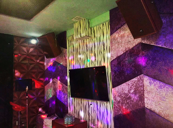 專業KTV音響設備加入藍魅音樂會所【爵士龍】