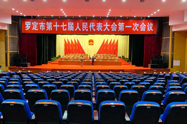 爵士龍K系列有源線陣音箱系統實力助陣羅定市第十七屆人大會議