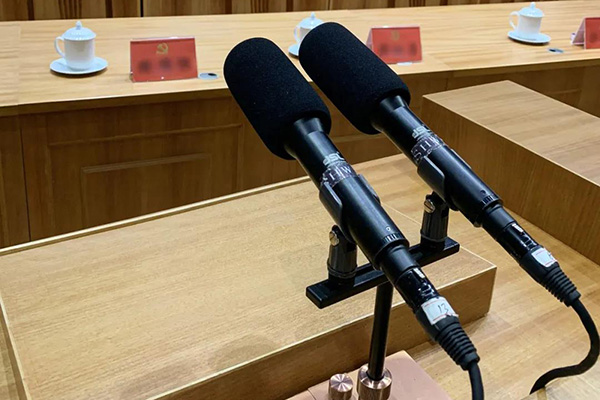 爵士龍K系列有源線陣音箱系統實力助陣羅定市第十七屆人大會議