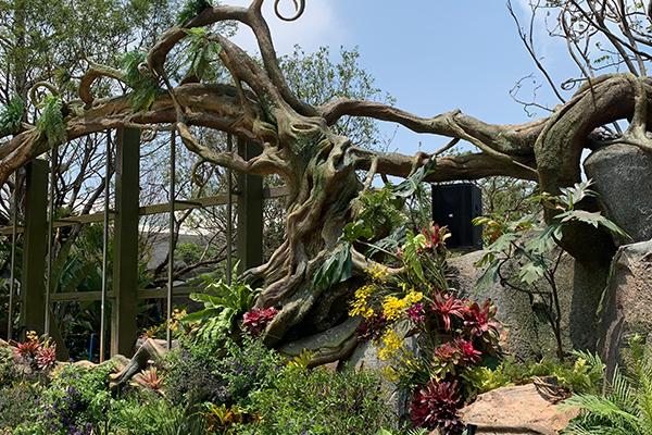 爵士龍戶(hù)外音響系統(tǒng)護(hù)航廈門(mén)某城市公園煥新