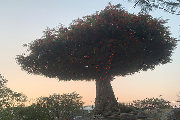 爵士龍戶(hù)外音響系統(tǒng)護(hù)航廈門(mén)某城市公園煥新