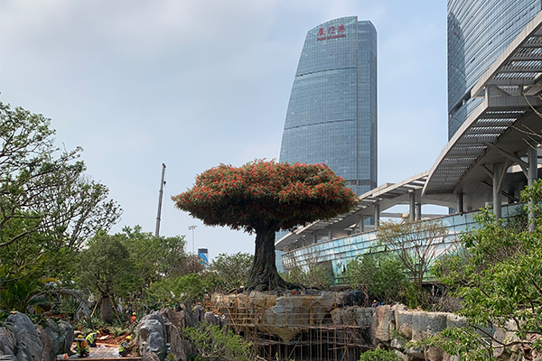 爵士龍戶(hù)外音響系統(tǒng)護(hù)航廈門(mén)某城市公園煥新