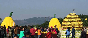 爵士龍舞臺音響設備注入梁平采柚節開幕式