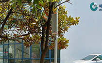 戶外 “聲” 態(tài)煥新！爵士龍音響賦能長沙保險學(xué)院智慧廣播